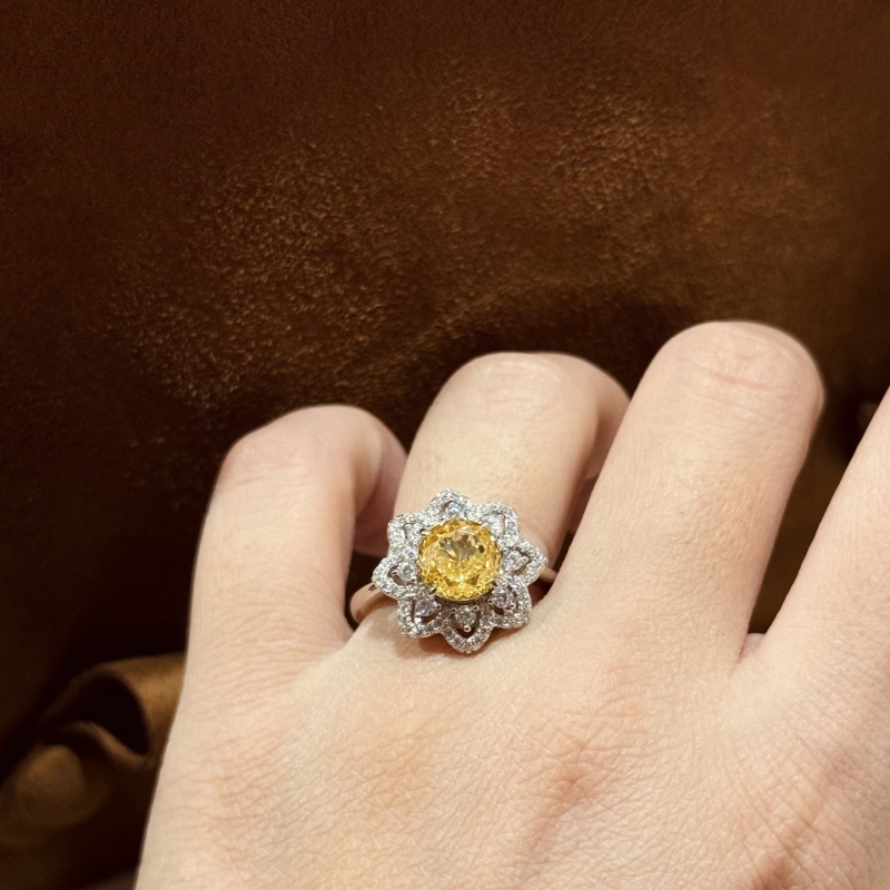 HARRY WINSTON